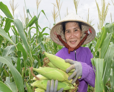 Nguyen Viet Khai – Reverdecimiento de tierras salinas, desarrollo de una acuicultura sostenible